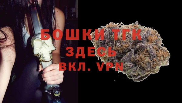 винт Костерёво