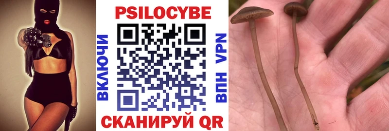Псилоцибиновые грибы Magic Shrooms  магазин    Тихорецк 
