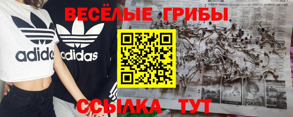 Псилоцибиновые грибы Cubensis  Псилоцибиновые грибы Psilocybine cubensis  Вход с VPN  Тихорецк 