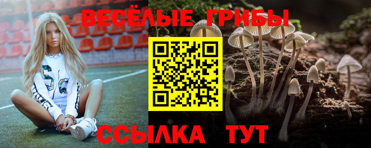 Галлюциногенные грибы прущие грибы Тихорецк